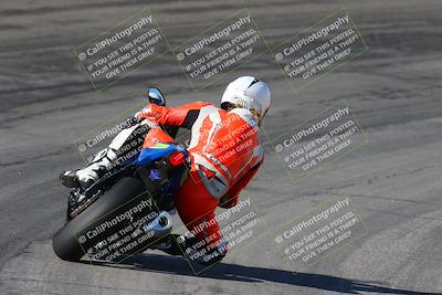 media/Feb-04-2024-SoCal Trackdays (Sun) [[91d6515b1d]]/4-Bowl Backside (11am)/